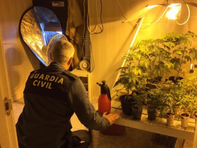 Detenido un moañés con una plantación de marihuana en la casa que tenía alquilada en Abelendo