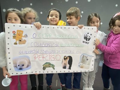 El colegio Torre-Cela de Bueu adopta un pingüino, una tortuga, un oso polar y una foca