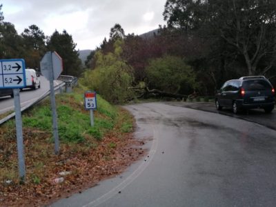 El viento deja árboles caídos en Cangas y Moaña e incidencias de carácter leve