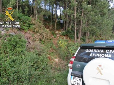 Pillan a un vecino de Moaña con varias colmenas robadas en el monte de Meira