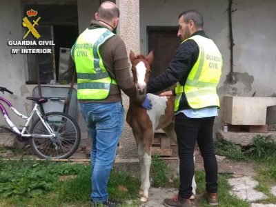 Investigadas tres personas por el robo de un potro en Vilaboa