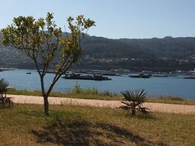 Se retoman las obras para acabar el Paseo de Domaio