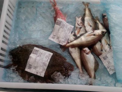 La Diputación lanza la cmapaña «Elixe comercio local» para revitalizar el consumo en las comarcas