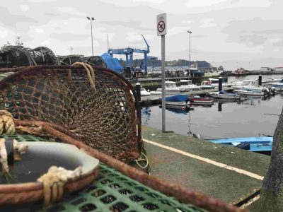 Nuevo curso de marinero pescador en la modalidad on line