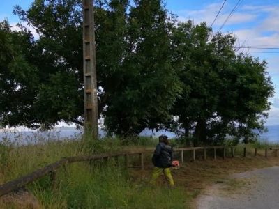 Bueu continúa con la limpieza de viales y espacios públicos en las tres parroquias