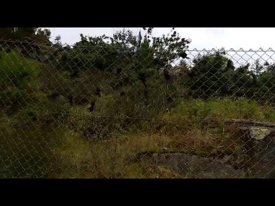 38 crespones negros por cada uno de los fallecidos en la residencia de Aldán