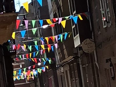 Exigen un Plan de Control de Plagas en Cangas