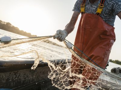 Galp Ría de Pontevedra crea una plataforma para promover la comercialización de la pesca artesanal