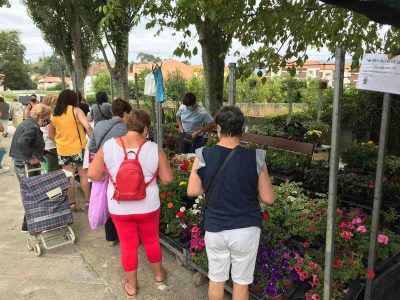 El mercadillo de Seixo dinamiza la parroquia y satisface a hostelería y comercio