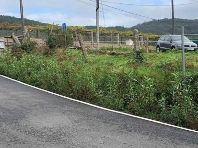 Oleada de robos de espejos en las calles del rural de Marín