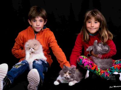 Adicam presenta a sus niños en un calendario