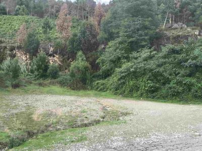 Moaña adjudica por 30.800 euros el acondicionamiento del aparcamiento de la playa de A Borna