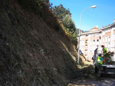 El Concello de Moaña desbroza el talud de Centoleira