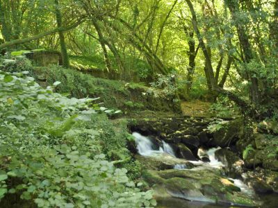 Marín a pé, turismo verde y seguro