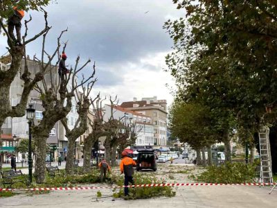 O Concello inicia os labores de poda, que xa se remataron na Alameda