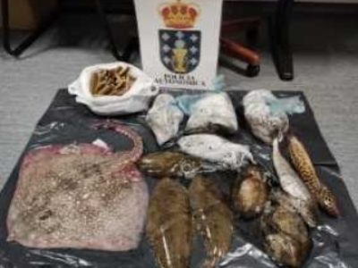 Comisan máis de 18 quilos de produtos do mar no porto de Cangas