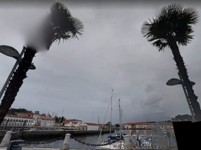 Las palmeras del Paseo de Alcalde Blanco se reubicarán en otros puntos de Marín