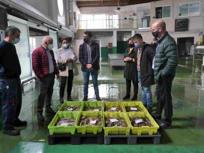 Portos regenerará la playa de Pescadoira en el segundo trimestre de este año