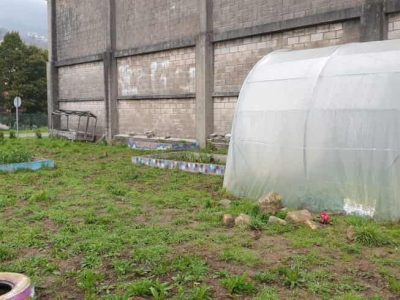 La huerta escolar y el invernadero del Ceip Riomaior de Vilaboa resisten a las restricciones del Covid