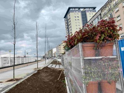 La Avenida de Ourense comienza a teñirse de verde