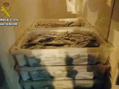 Guardia Civil y Gardacostas intervienen en Bueu 121 kg de merluza de pequeño tamaño