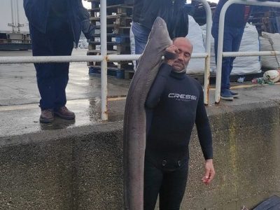 Un pescador de Bueu pesca un congrio de 2 metros de longitud y 20 kg de peso