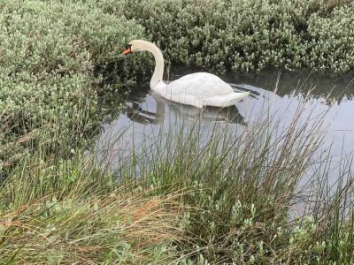 Un código QR permitirá recrear la actividad y el entorno de las Salinas do Ulló