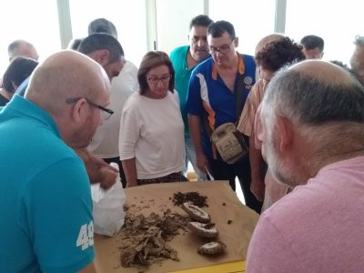 Vecinos de Bueu podrán recoger mañana líquido y trampas para luchar contra la velutina
