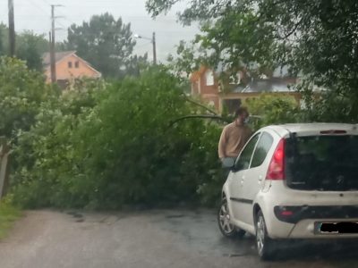 Unha árbore cae sobre o vial da piscina municipal de Cangas