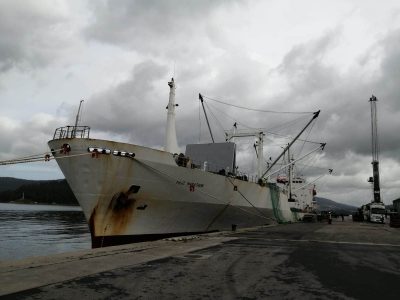 Se intensifica la campaña de pesca congelada en el Puerto de Marín con la descarga de 5 buques
