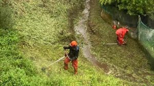 Seaga revisará nos próximos quince días o estado das faixas secundarias en todo Marín para garantir a prevención de incendios forestais