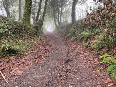 O Concello pon en marcha o programa «Vilaboa é natureza» e  creará unha rede de voluntariado ambiental