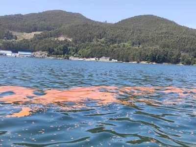 Unha vertedura industrial nas bateas de Domaio fai saltar todas as alarmas