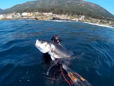Comedores sociais recibirán esta fin de semana as capturas do Campionato Galego de Pesca Submarina que parte de Cangas