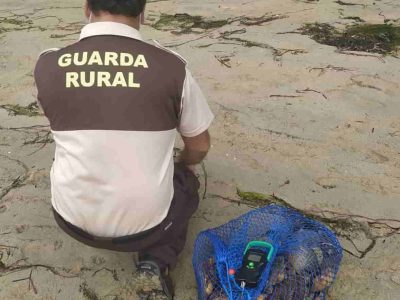 Decomisan 8,8 kilos de vieira en Moaña