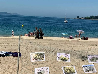 Medio Ambiente paraliza as obras na praia de Rodeira