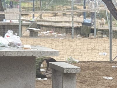 Rodeira amanece `feita un Cristo´