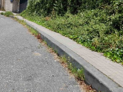 O Concello de Cangas reclama á Xunta e Deputación a limpeza dos seus viais no municipio