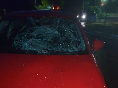 Un cabalo empotrase contra un coche en Vilaboa