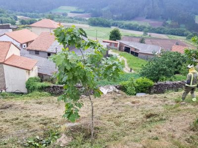 Novo obradoiro de emprego en Cangas para formar a 20 persoas no ámbito forestal
