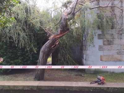 A tromba de auga provoca a caída dunha árbore sobre o tellado da  Capela do Hospital de Cangas