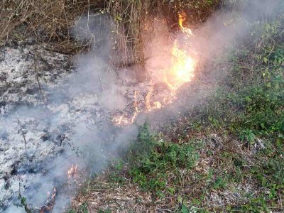 Prohibidas as queimas agrícolas e forestais desde mañá