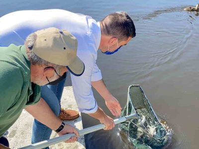 100 novas troitas repoboan a fauna do Lago Castiñeiras