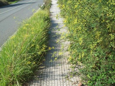 Denuncian a falta de limpeza no rural de Cangas