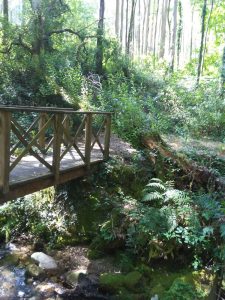 El PP de Moaña pide un plan de conservación y mantenimiento para el Sendero del Río da Fraga