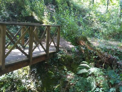 El PP de Moaña pide un plan de conservación y mantenimiento para el Sendero del Río da Fraga