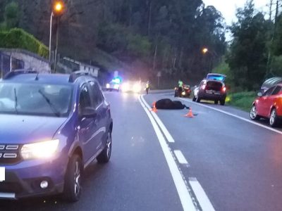 Sae ileso tras chocar co seu coche a un cabalo na PO-551, en Bueu