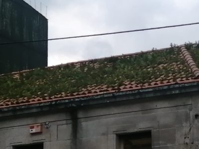 O PP de Bueu insta ao Concello a contratar unha empresa para a limpeza dos tellados