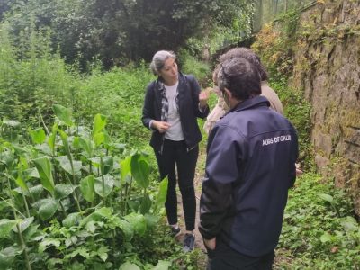 Cangas solicita permiso a Augas de Galicia para limpar o entorno do río Saíñas