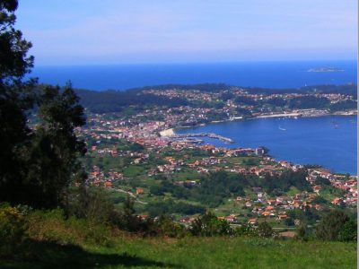 Bueu presenta «Bueu naturalmente», un libro para coñecer a flora e fauna da vila